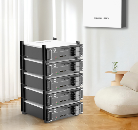 باتری لیتیومی مدل LV 48100 NS